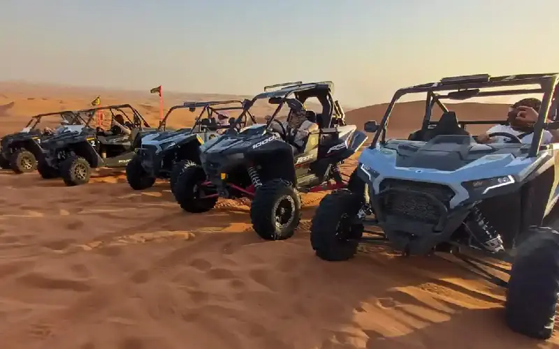 Early Bird Buggy Tour