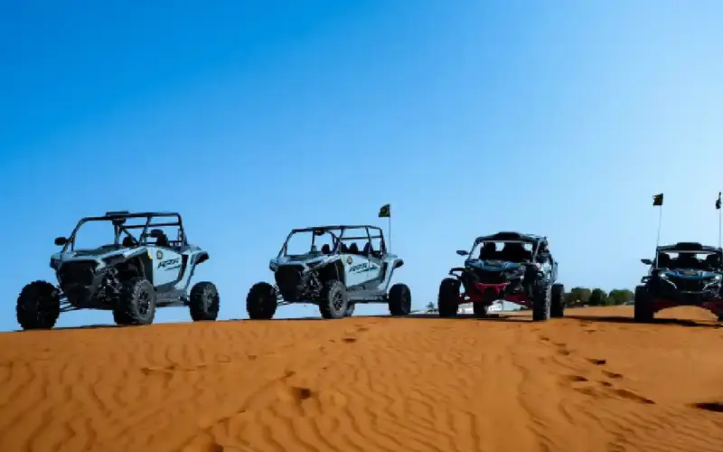 Polaris RZR 1,2,4 Seater Buggy Tour - Dune Buggy Dubai