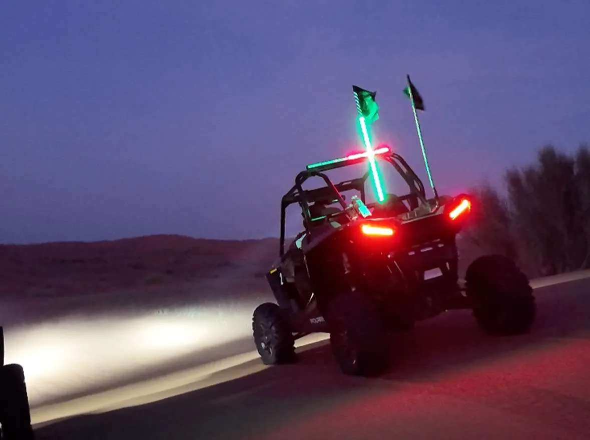 buggy-by-night1