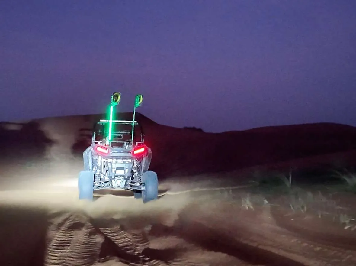 buggy-by-night3